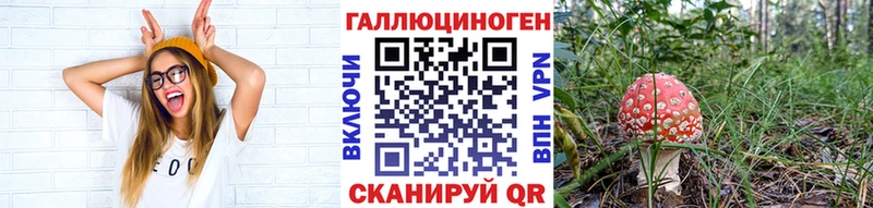 блэк спрут зеркало Белебей darknet наркотические препараты как найти закладки Псилоцибиновые грибы ЛСД